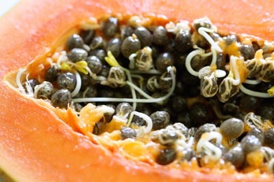 מונאקו אסקורט: Jordyn Smith